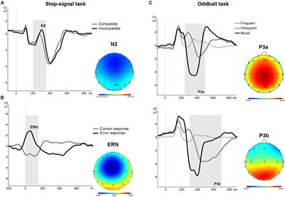 Effects of a Green Oat Herb Extract on Cognitive Performance and Neurophysiological Activity: A Randomized Double-Blind Placebo-Controlled Study